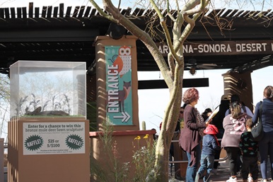 Gay Tucson Now|Arizona Sonora Desert Museum Tucson 