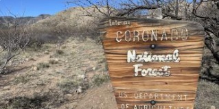 Gay Tucson Now|Coronado National Forest Tucson Information